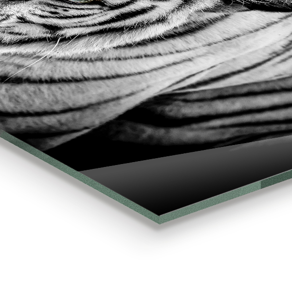 Kitchen wall panels White siberian tiger