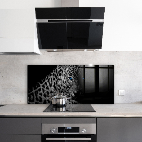 Hob splashback Dark panther wild cat