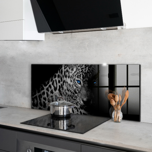 Hob splashback Dark panther wild cat