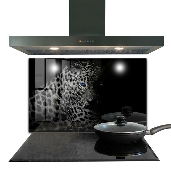 Hob splashback Dark panther wild cat