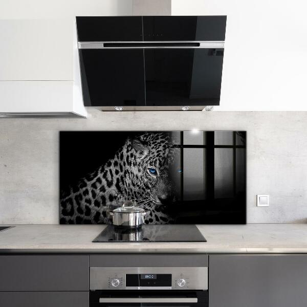 Hob splashback Dark panther wild cat