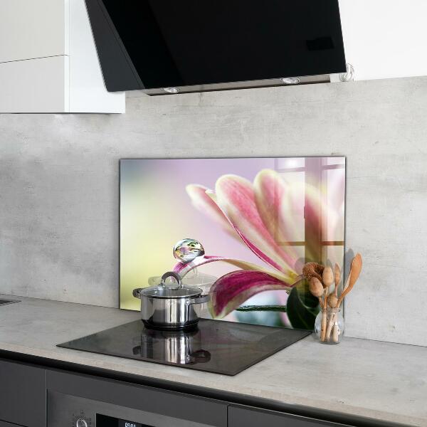 Kitchen wall panels Flower with dew drop morning