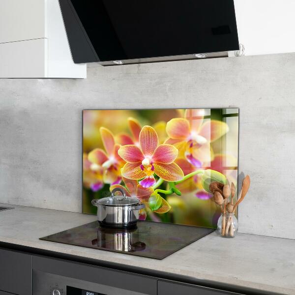 Kitchen wall panels Orange orchid
