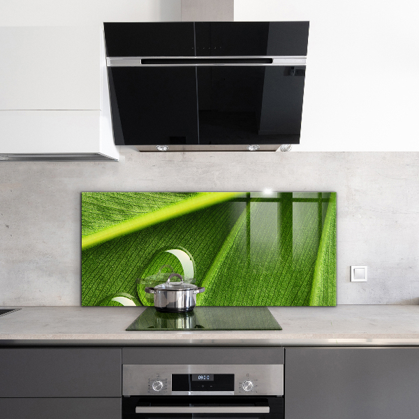 Kitchen wall panels Dew drop on a leaf