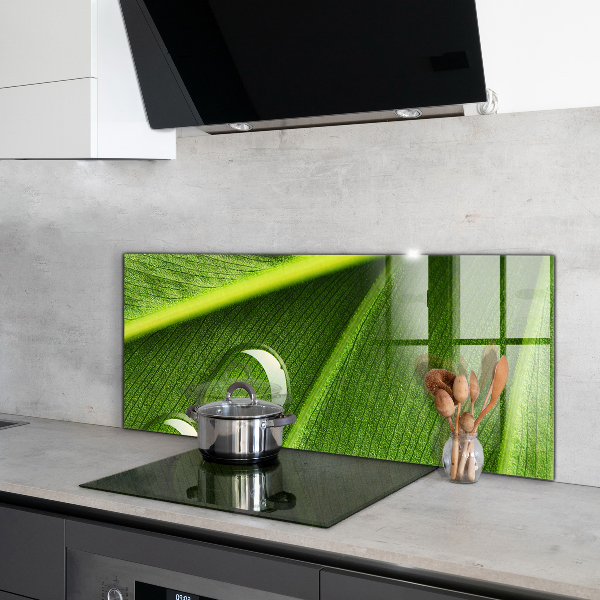 Kitchen wall panels Dew drop on a leaf