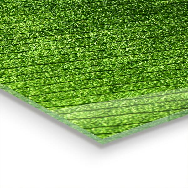 Kitchen wall panels Dew drop on a leaf