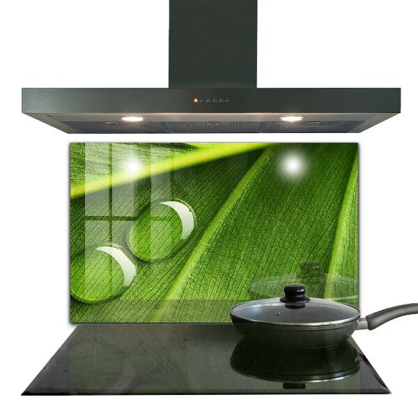 Kitchen wall panels Dew drop on a leaf