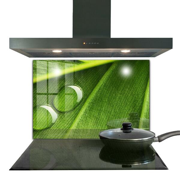 Kitchen wall panels Dew drop on a leaf