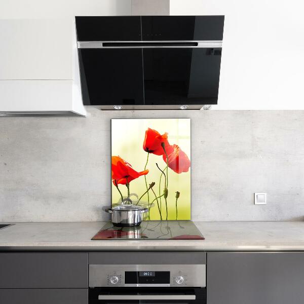 Kitchen wall panels Field meadow with red poppies