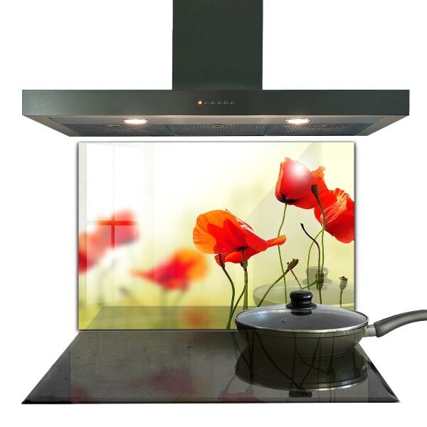 Kitchen wall panels Field meadow with red poppies
