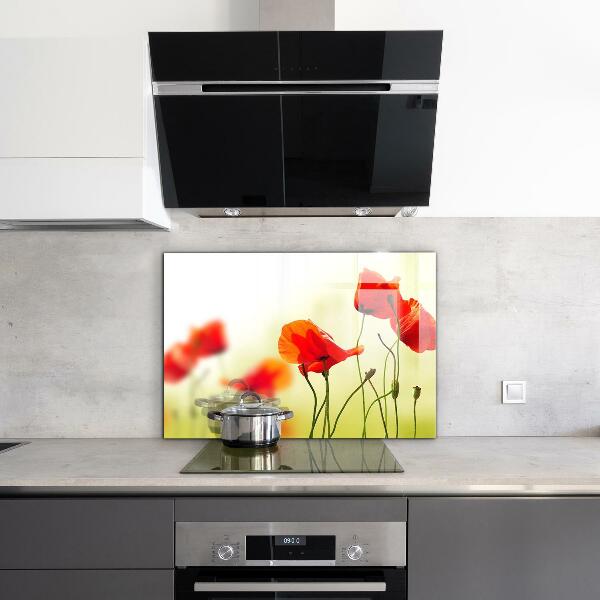 Kitchen wall panels Field meadow with red poppies