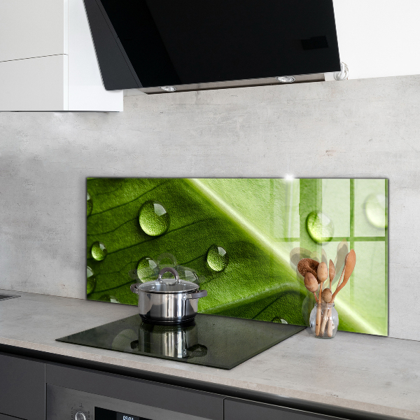 Kitchen wall panels Leaf with drops of morning dew