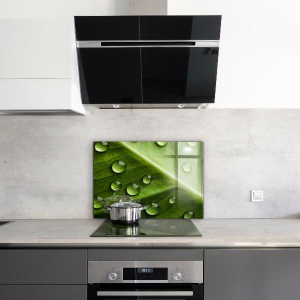 Kitchen wall panels Leaf with drops of morning dew