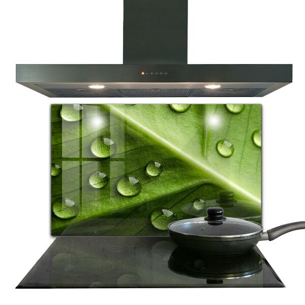 Kitchen wall panels Leaf with drops of morning dew