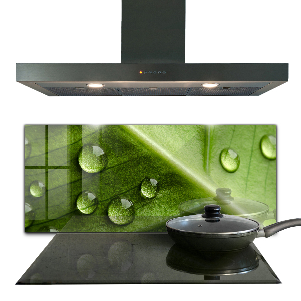 Kitchen wall panels Leaf with drops of morning dew