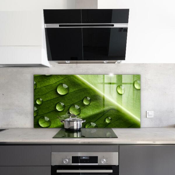 Kitchen wall panels Leaf with drops of morning dew