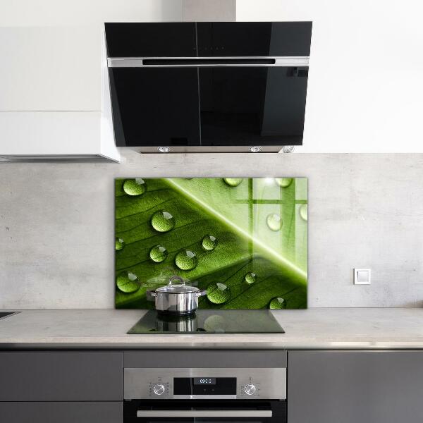 Kitchen wall panels Leaf with drops of morning dew