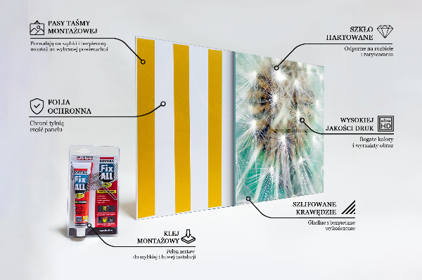 Kitchen wall panels Dandelion in the wind plant