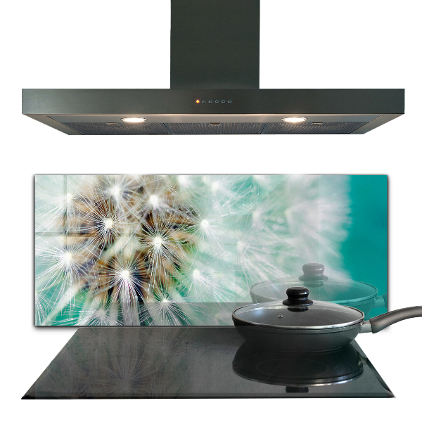 Kitchen wall panels Dandelion in the wind plant