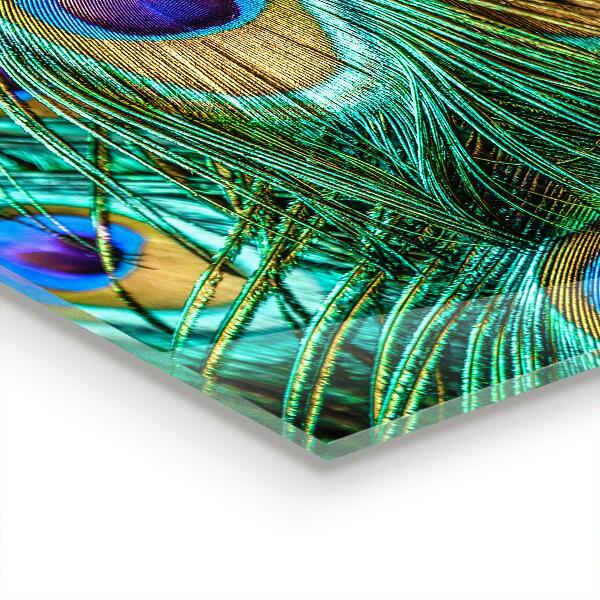 Kitchen glass panel Peacock feathers beautiful nature