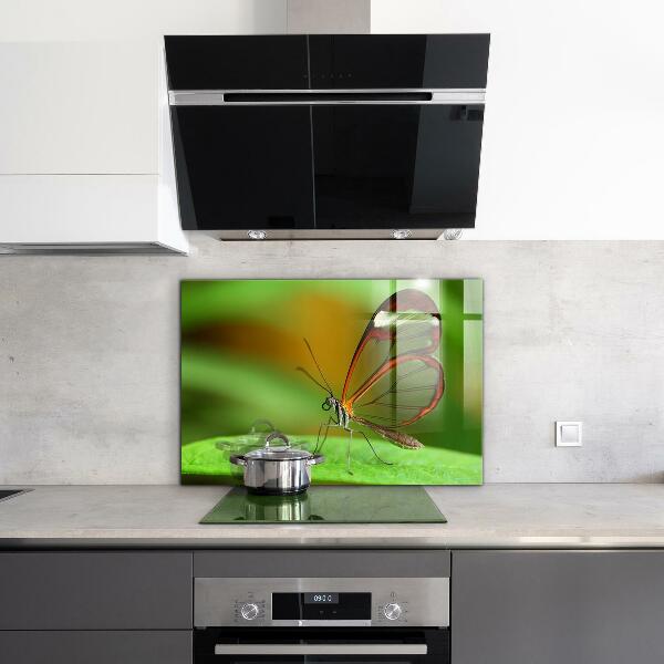 Hob splashback Butterfly on a leaf