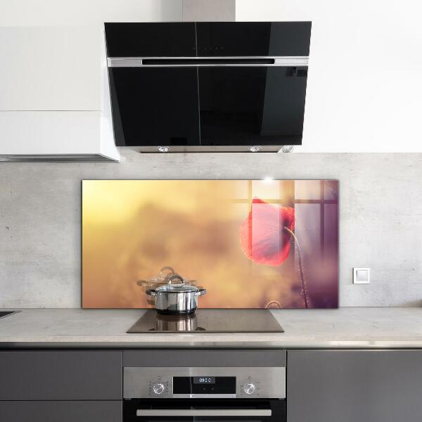 Kitchen wall panels Vintage poppy plant