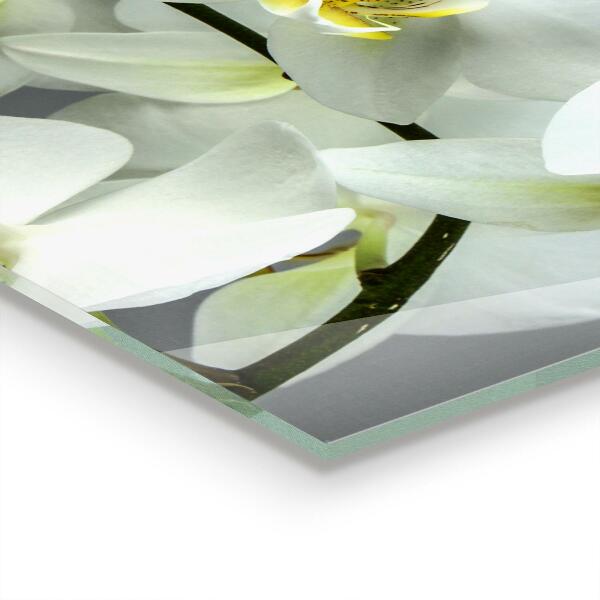 Kitchen wall panels White orchid on black background