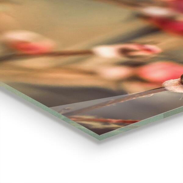 Kitchen wall panels Wild rose in the park