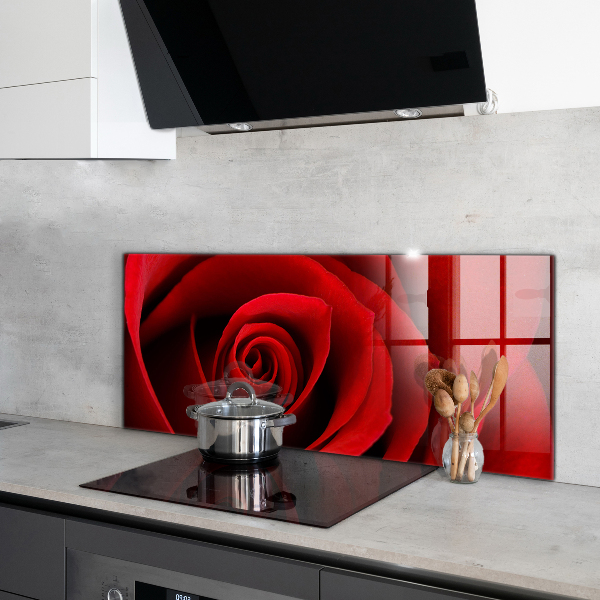 Kitchen wall panels Red rose love