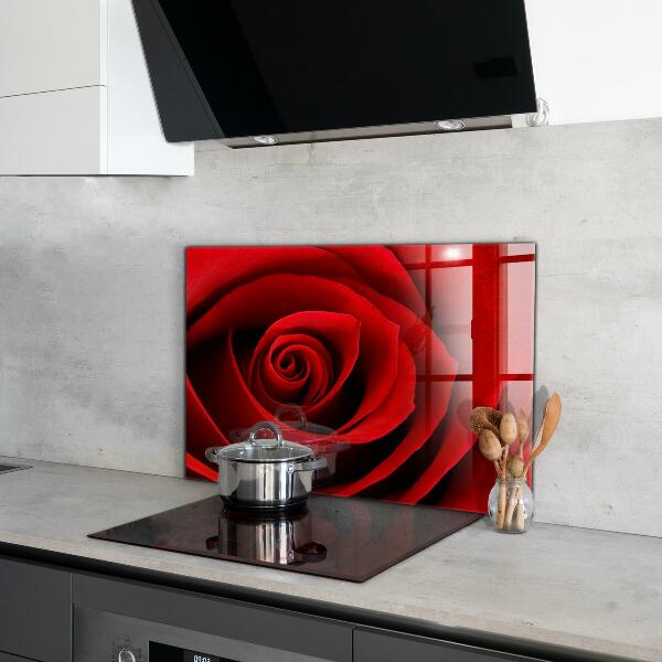 Kitchen wall panels Red rose love