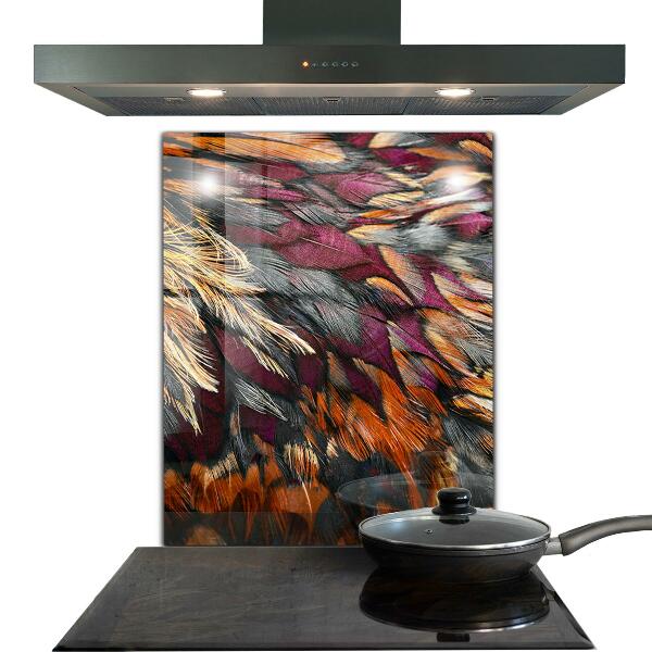 Kitchen glass panel Colorful bird feathers