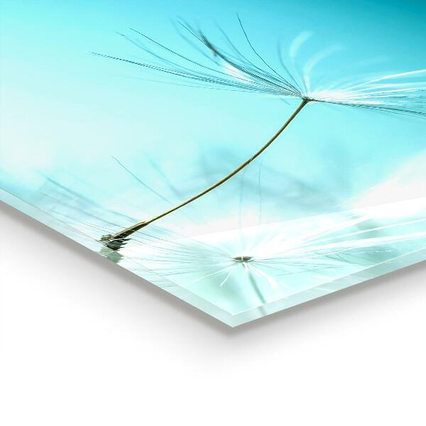 Kitchen wall panels Dandelion dandelion in the wind