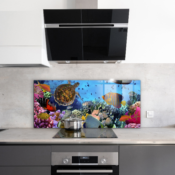 Kitchen wall panels Barrier reef caribbean