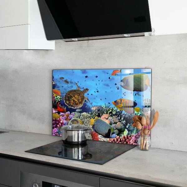 Kitchen wall panels Barrier reef caribbean