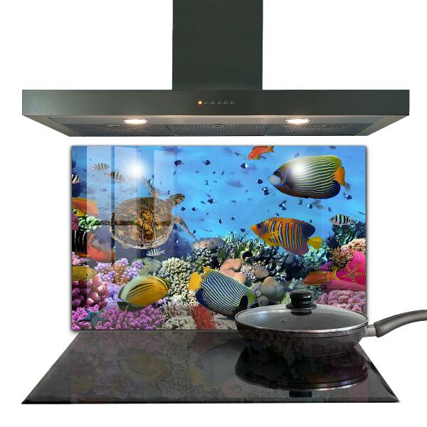 Kitchen wall panels Barrier reef caribbean