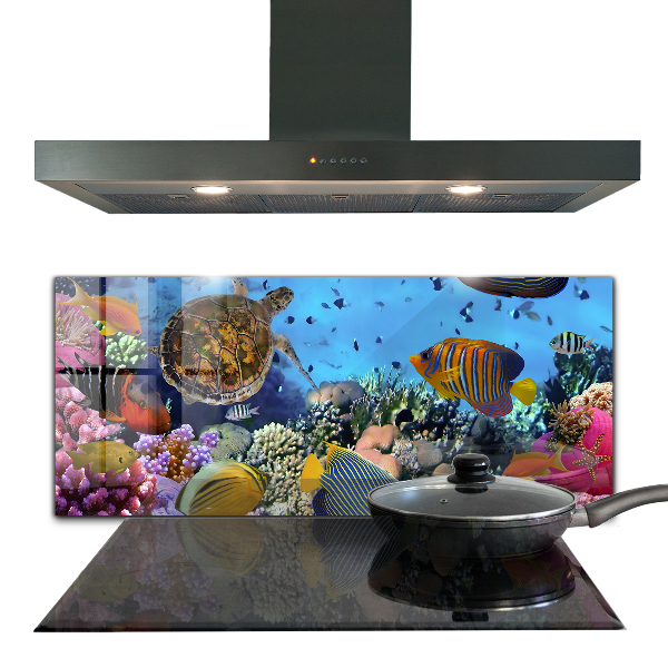 Kitchen wall panels Barrier reef caribbean