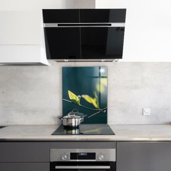 Kitchen wall panels Shiny leaf on branch