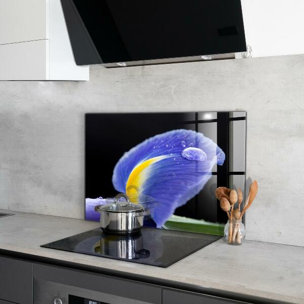 Kitchen wall panels Purple iris flower