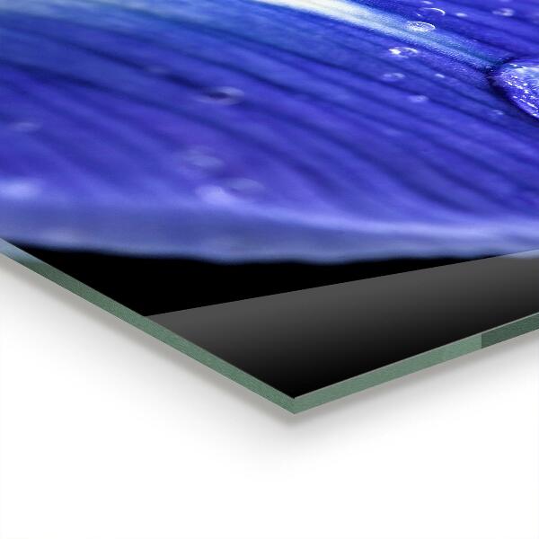 Kitchen wall panels Purple iris flower