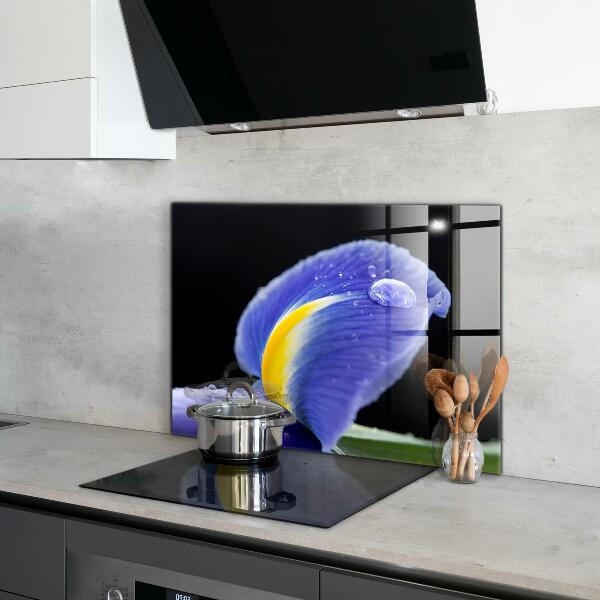 Kitchen wall panels Purple iris flower