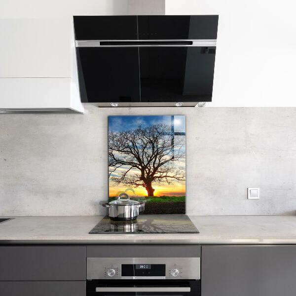 Kitchen wall panels Landscape meadow in the morning