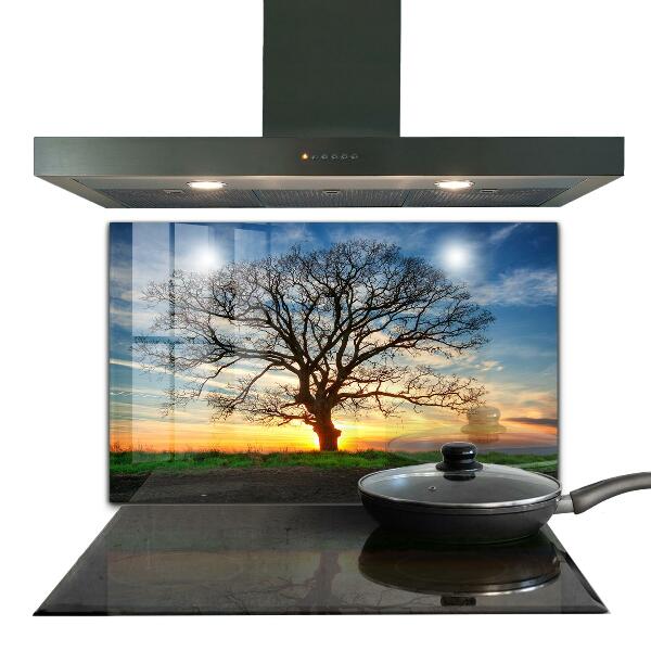 Kitchen wall panels Landscape meadow in the morning
