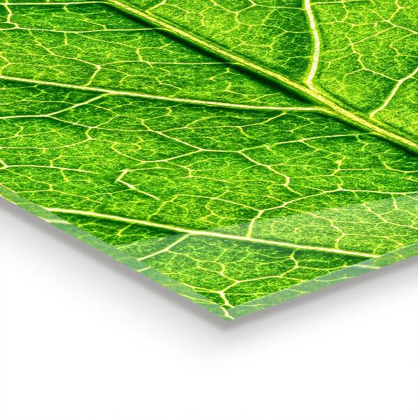 Kitchen panel Delicate leaf details