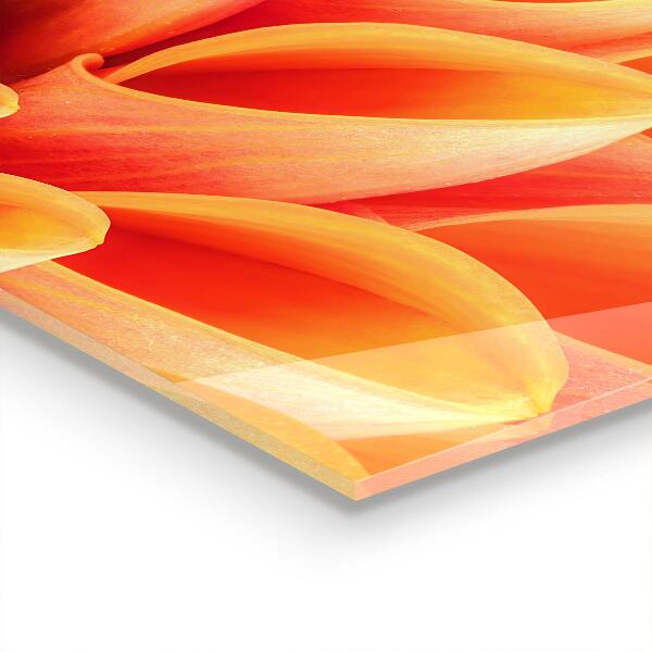 Kitchen panel Orange flower