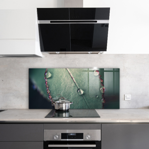 Kitchen panel Leaf with a dew drop