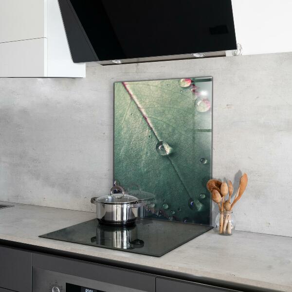 Kitchen panel Leaf with a dew drop