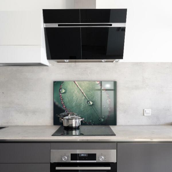 Kitchen panel Leaf with a dew drop