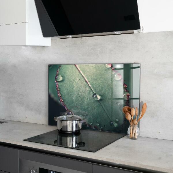 Kitchen panel Leaf with a dew drop