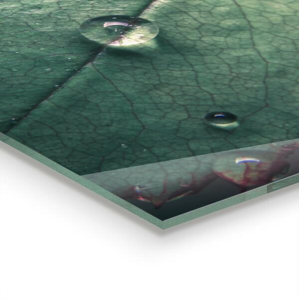 Kitchen panel Leaf with a dew drop