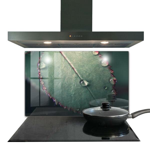 Kitchen panel Leaf with a dew drop